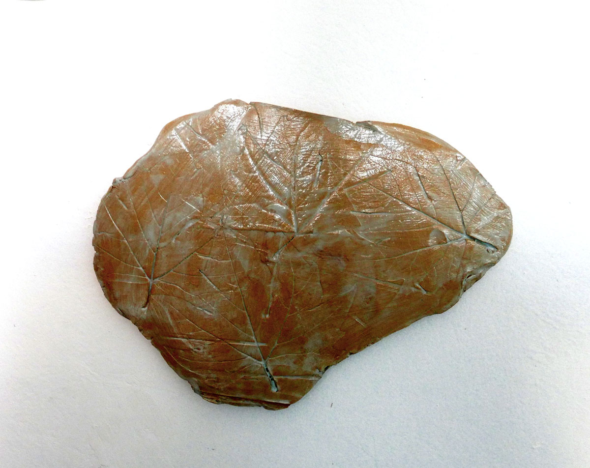 Cellula vegetale